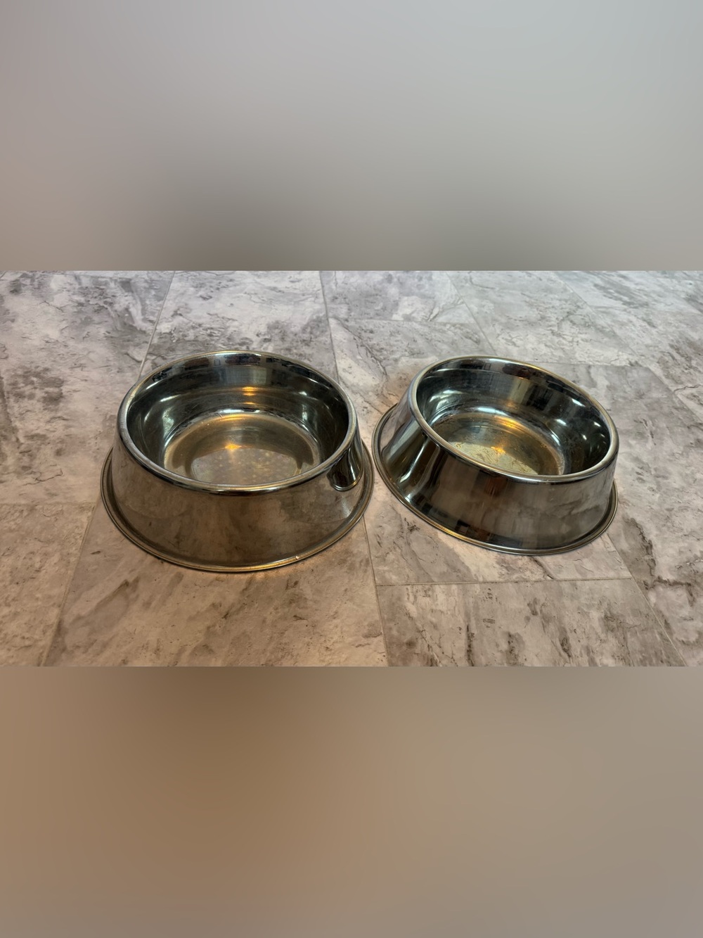 Big Dogs Stainless Steel Pet Bowls - Silver (Set of 2)